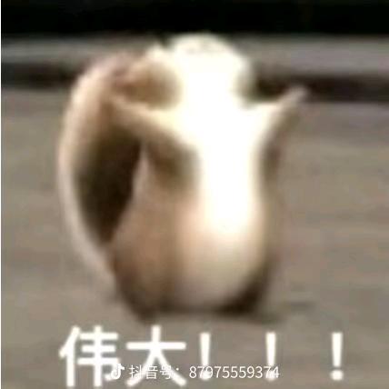 序春集