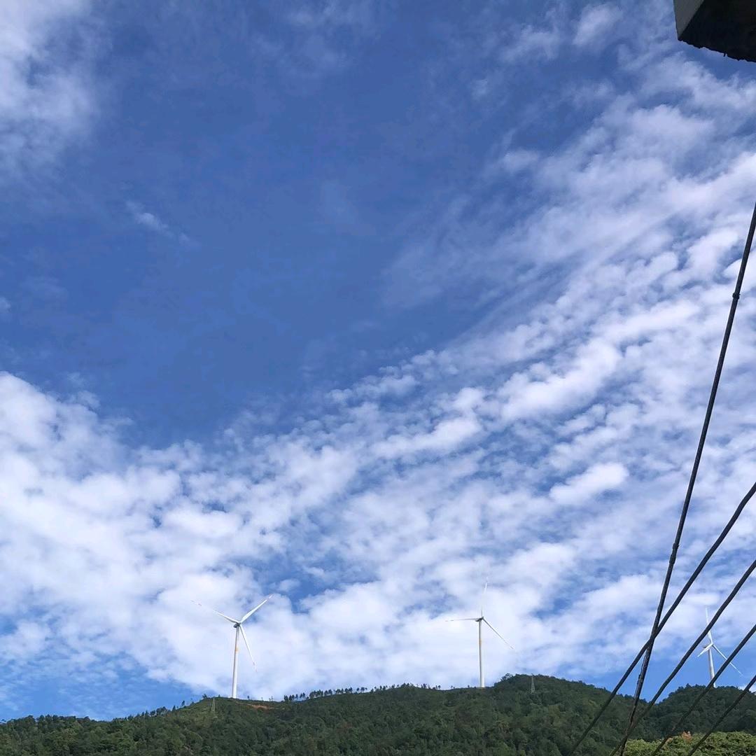 三星情怀