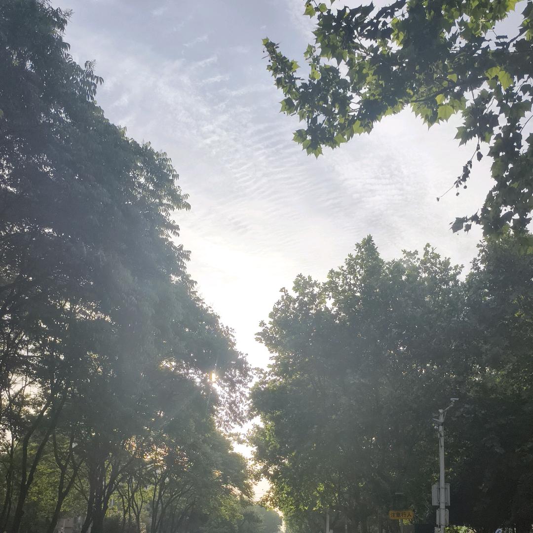 洪语霖家居生活馆-设计胡