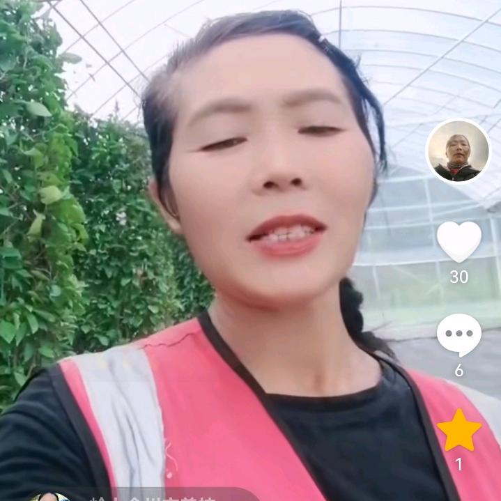 金川农女