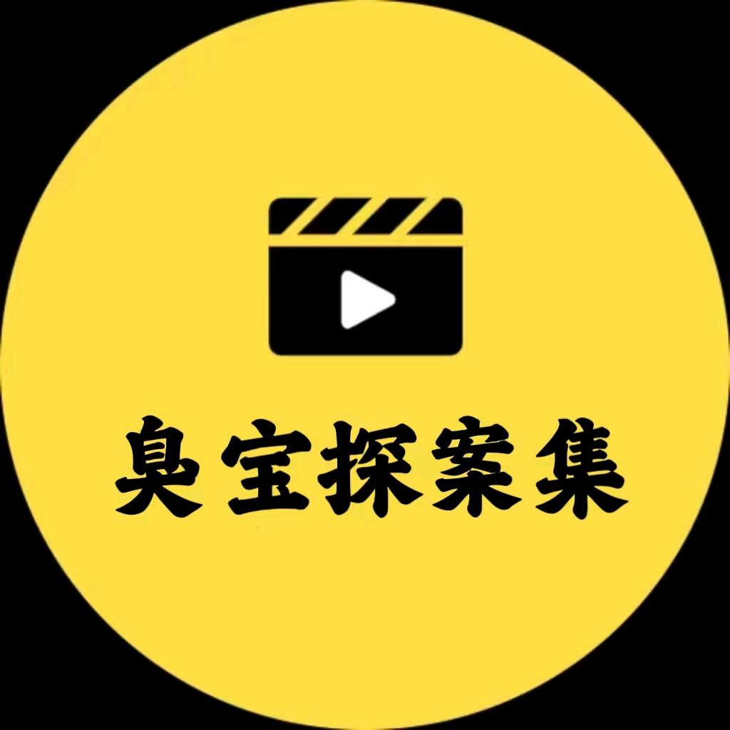 臭宝探案头像
