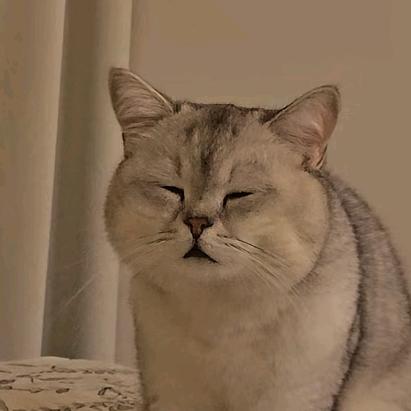衾袅子衿
