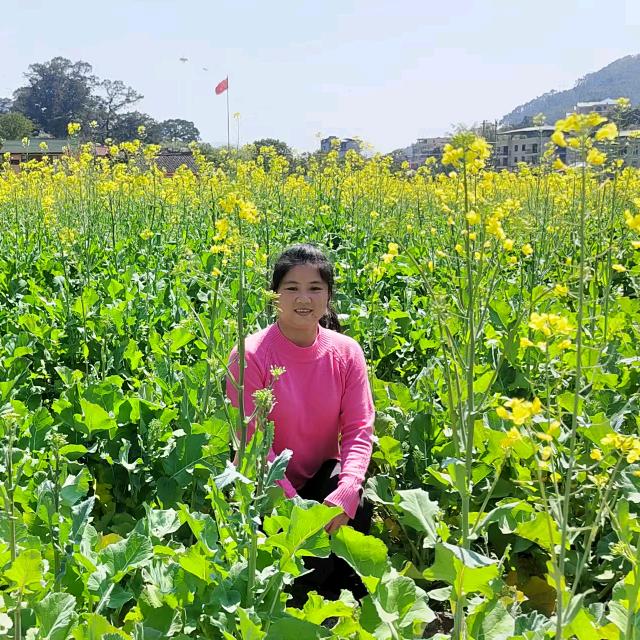 谢银妹探货