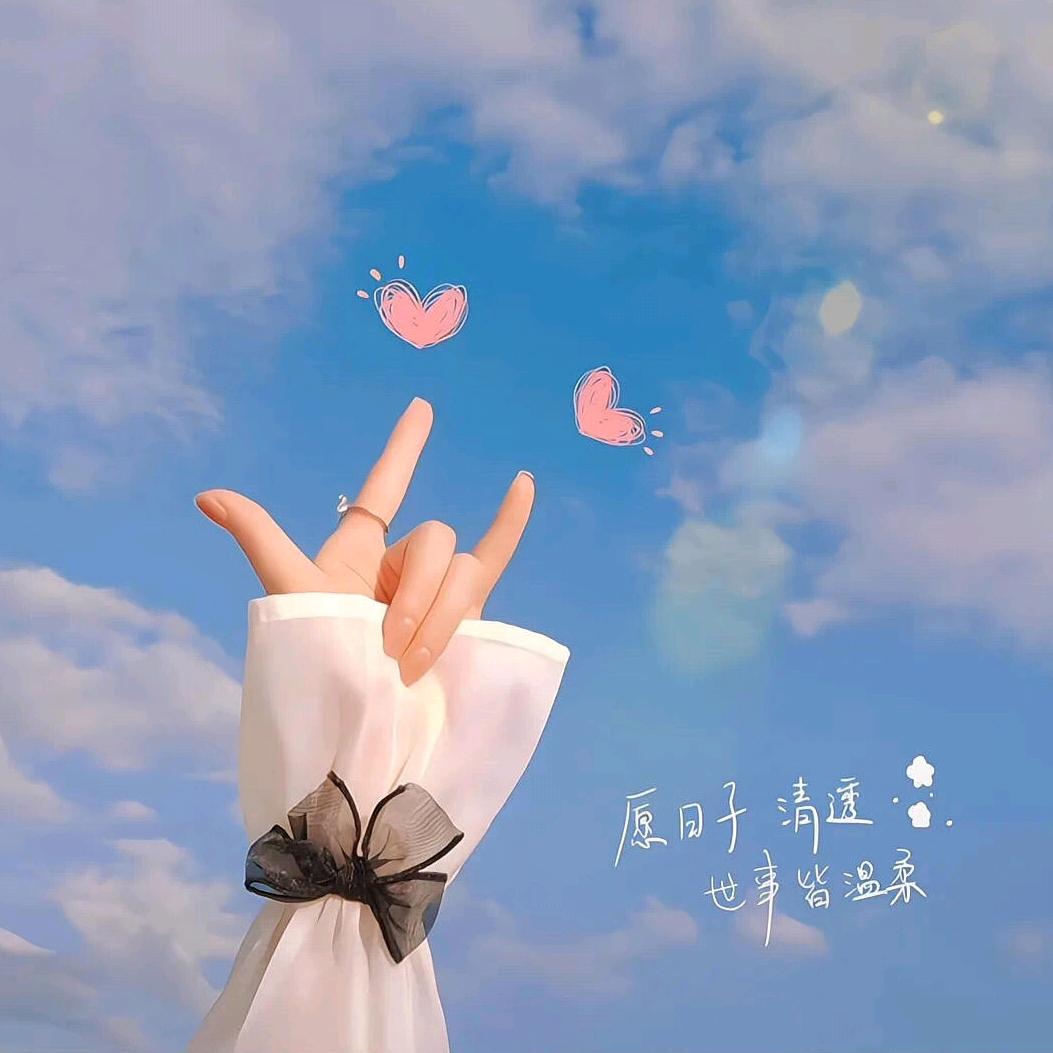Wang(ღ˘⌣˘ღ)