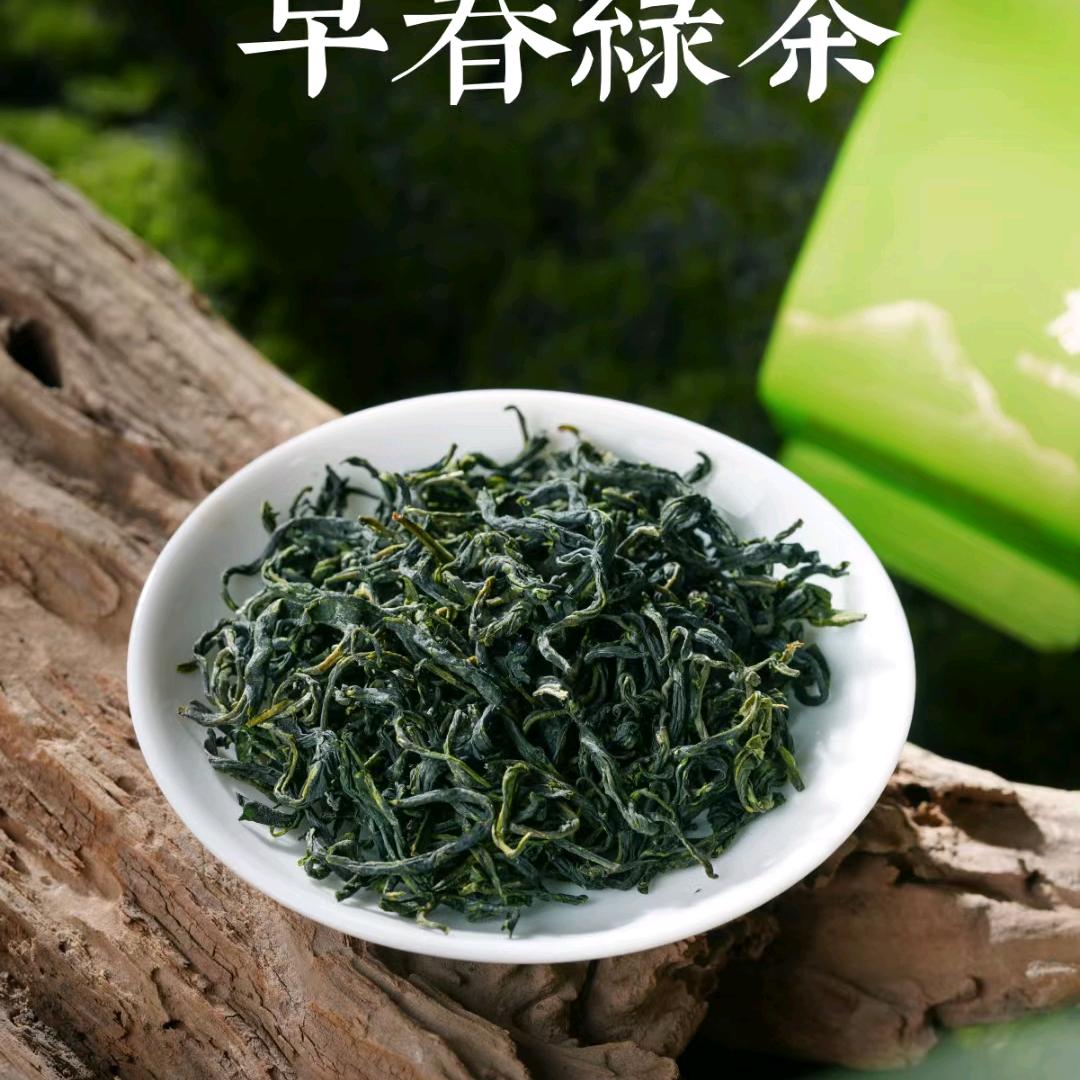 陈子豪