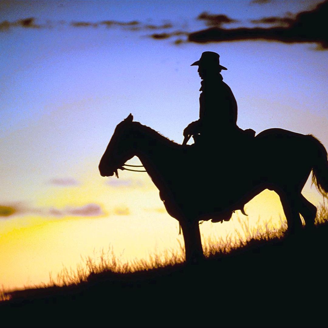 我是骑马玩耍的