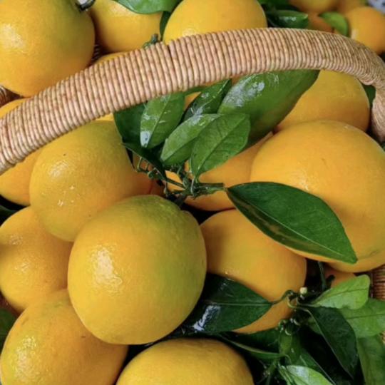 赣粤风光，中国梦