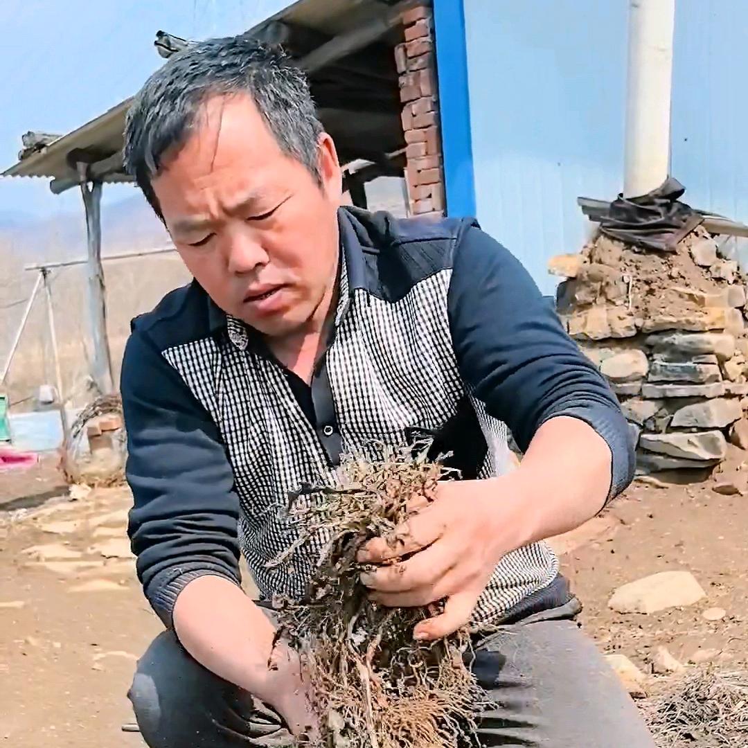 农民兄弟爱生活