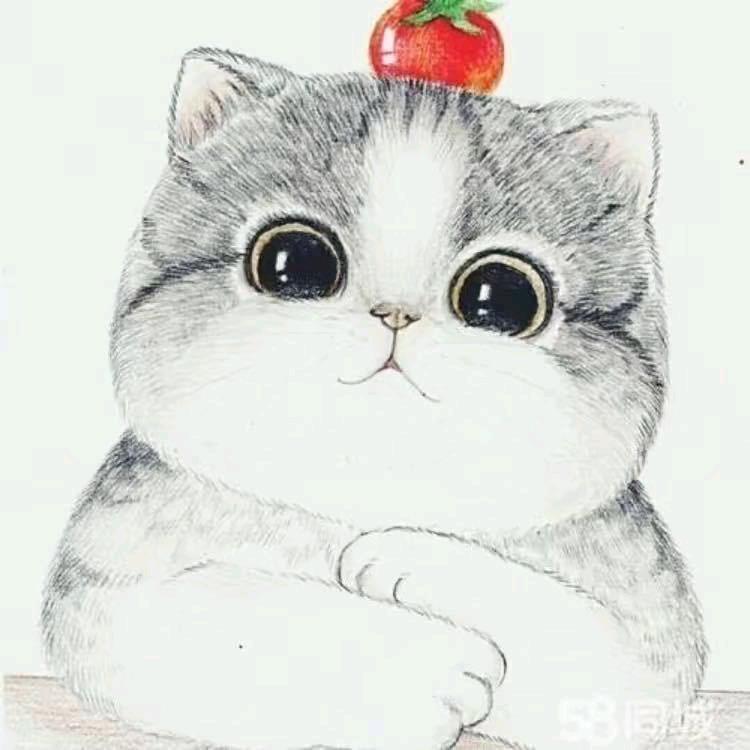 ho。丶