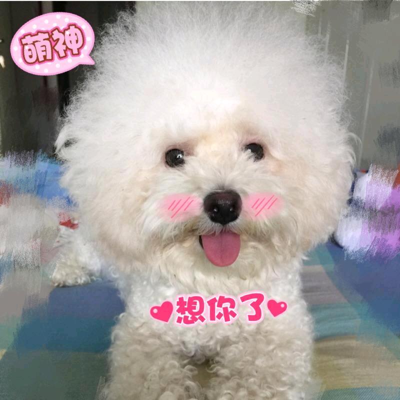 🧸小宝是宝宝🧸头像