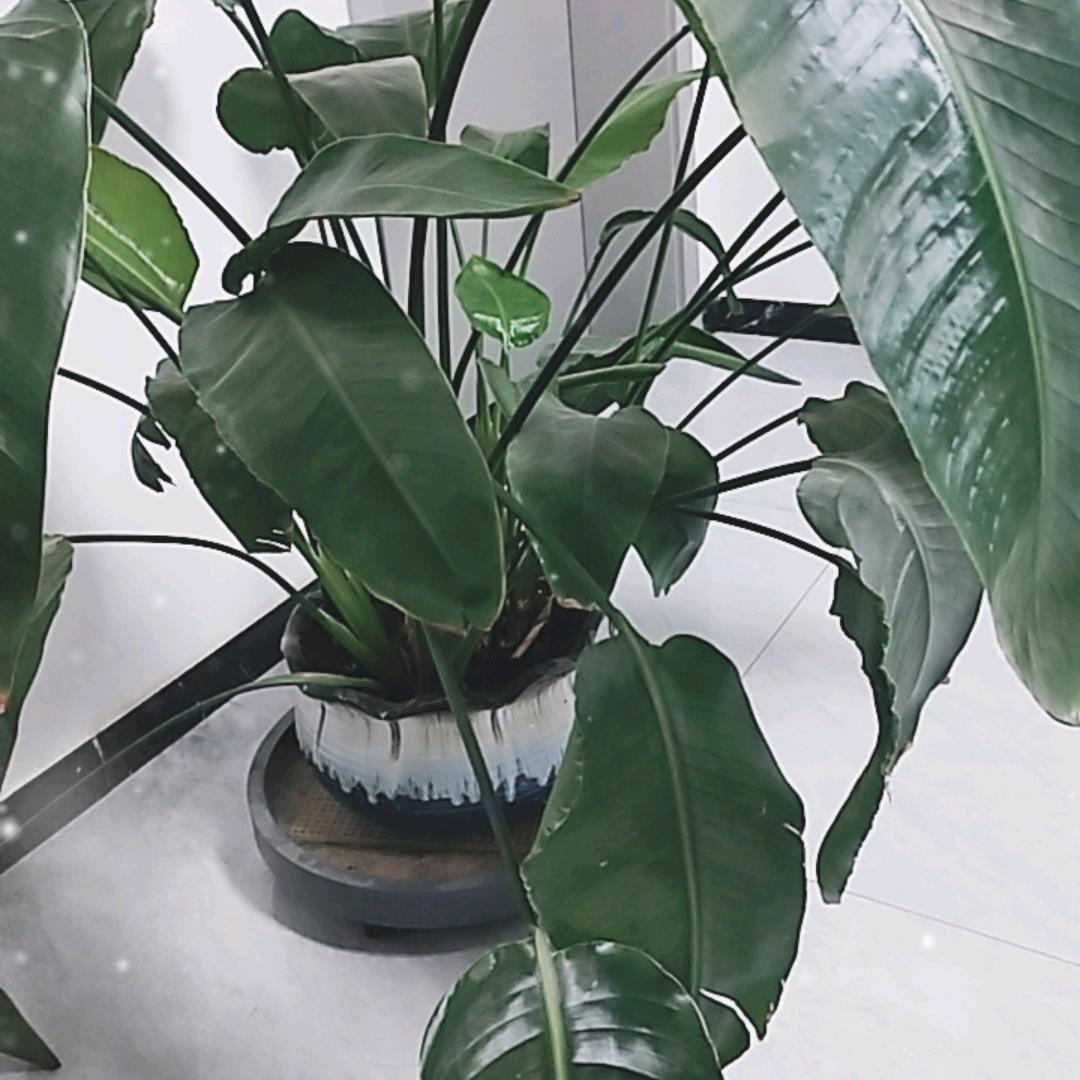 平平安安