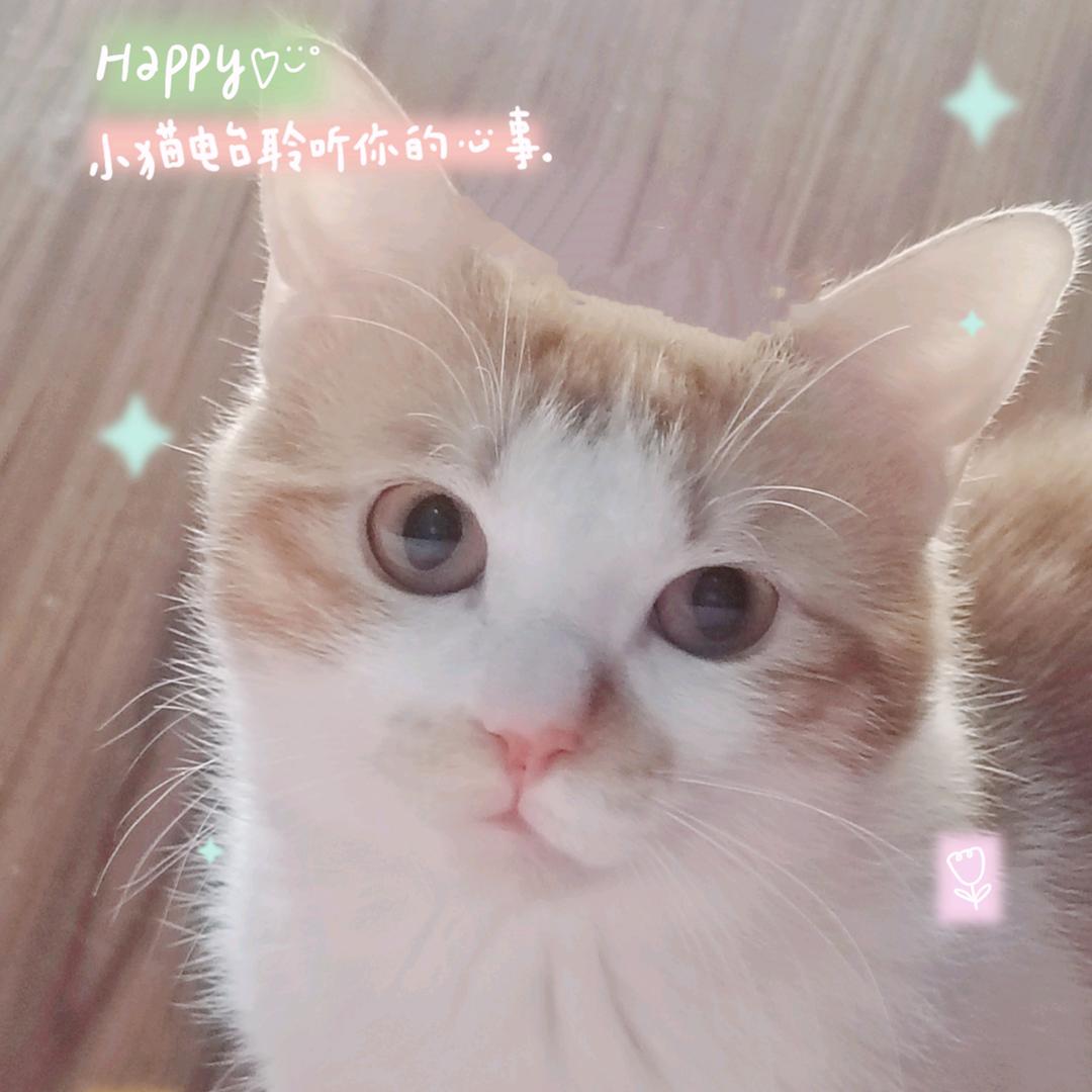 秋荻😻