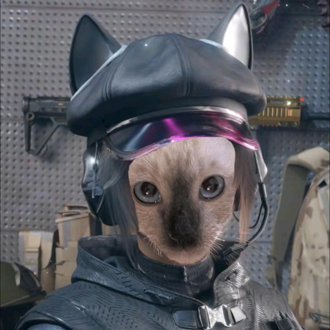 空心（三角洲行动）