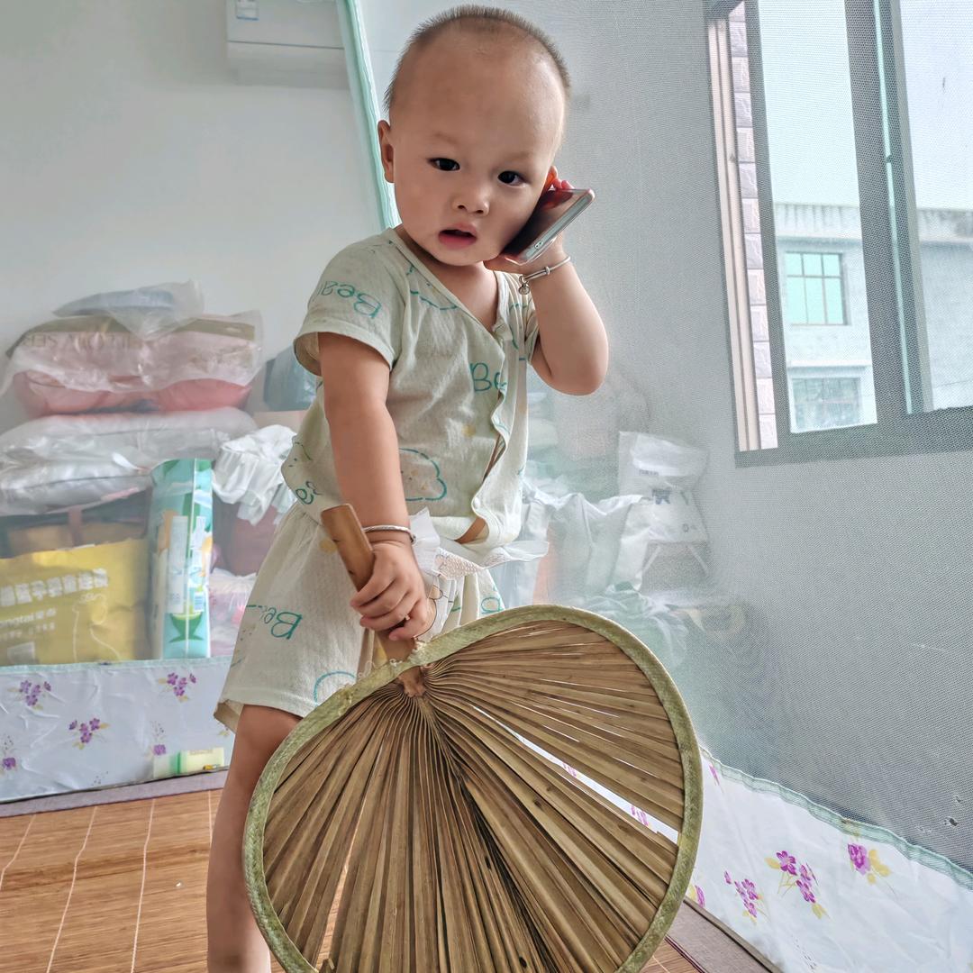 自由哥（王者一号金蝉）