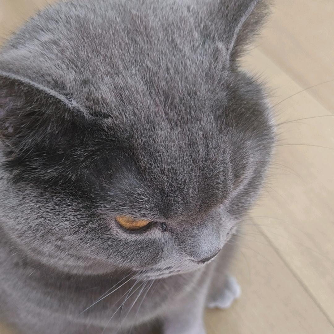 一地鸡毛的老六