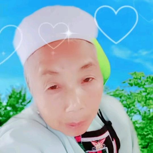 杨姨妈