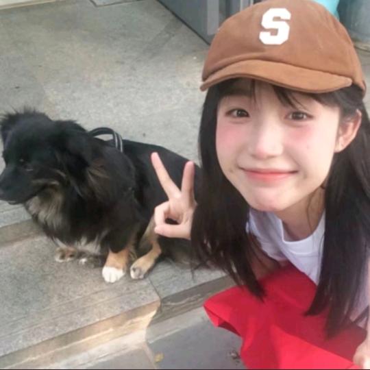 钓鱼🎣的猫头像