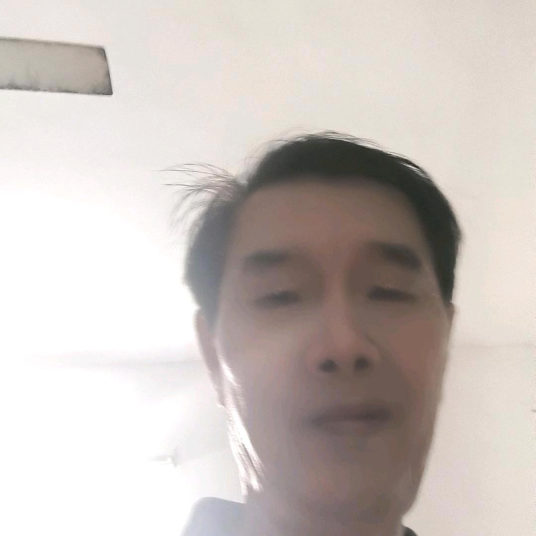 雾中寻爱之旅