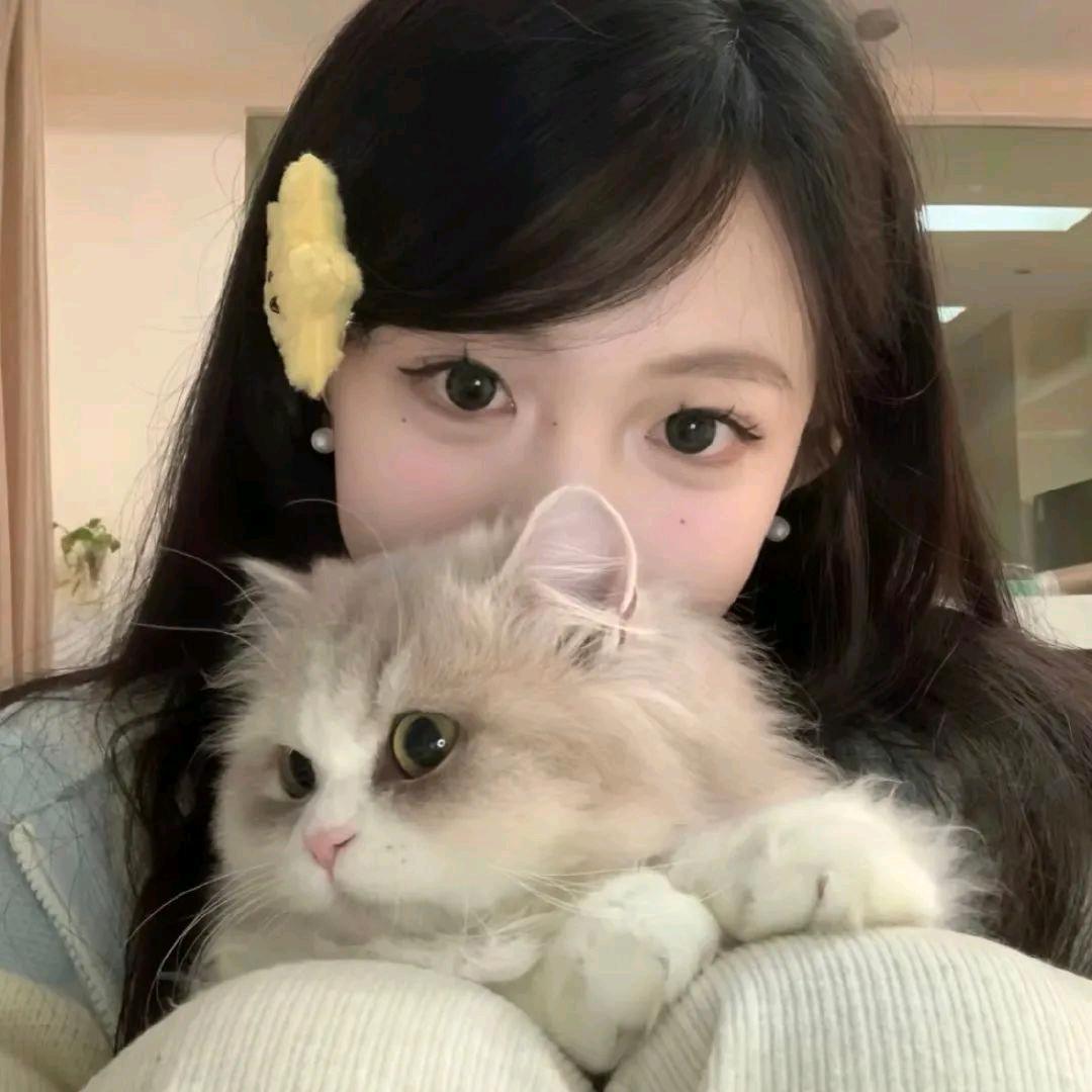 小魚呆呆脑