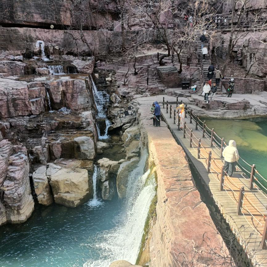 ( ﹡ˆoˆ﹡ )鲜艳芬芳