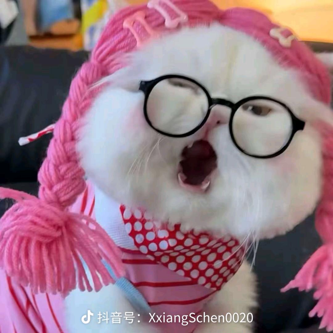 懒懒～