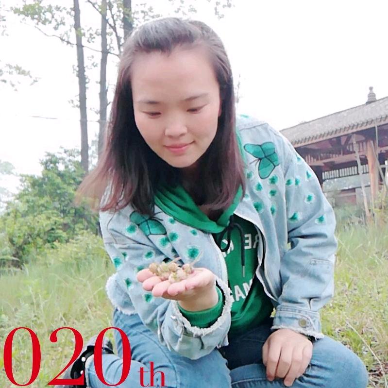 坝子煤炭批发（朱）