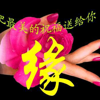 🍎么么哒🍎👍👍