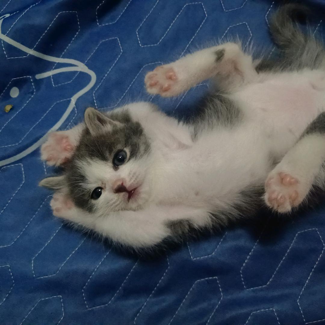 。。。。@