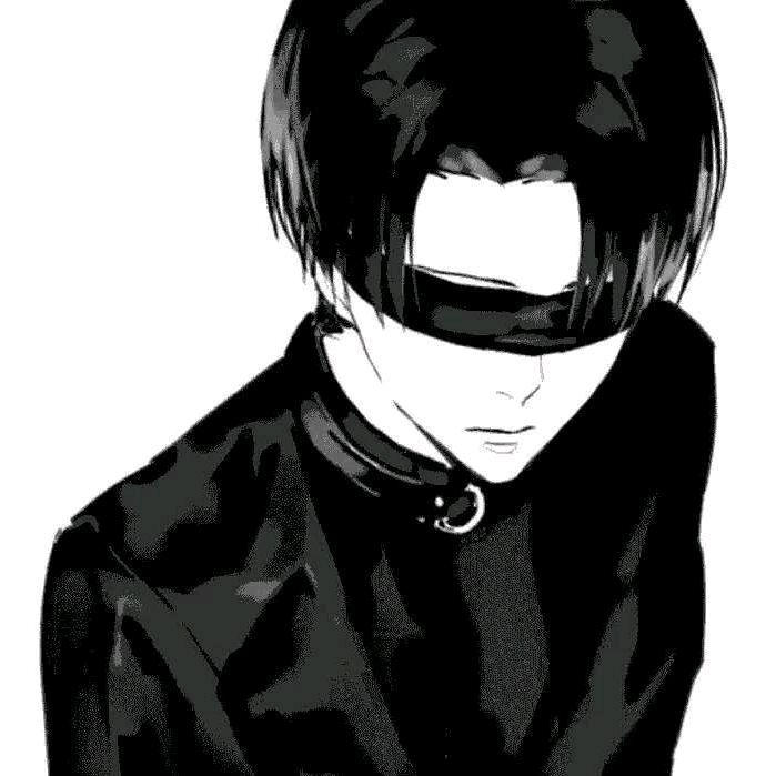 宠