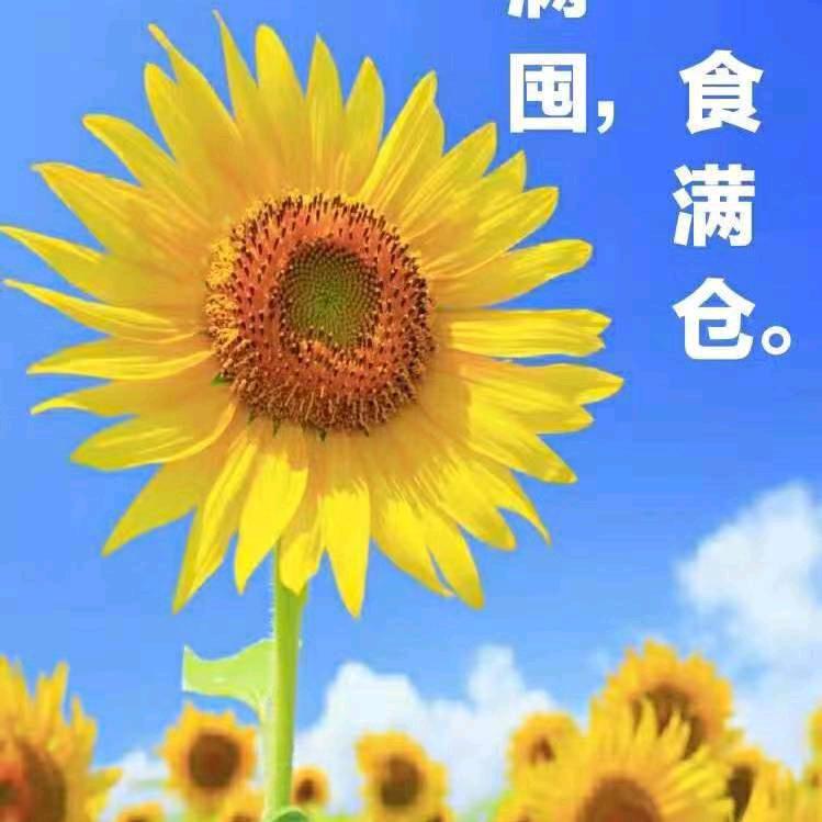 一顺百顺🍀🙏🙏🙏