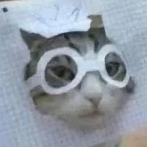白鳄鱼