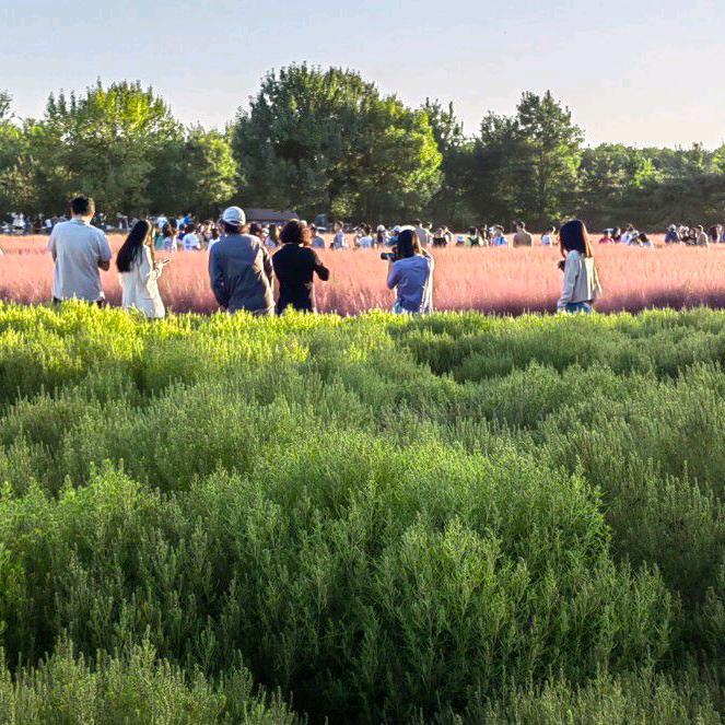 脚手架，:架管，扣件，顶托等建筑工具租赁