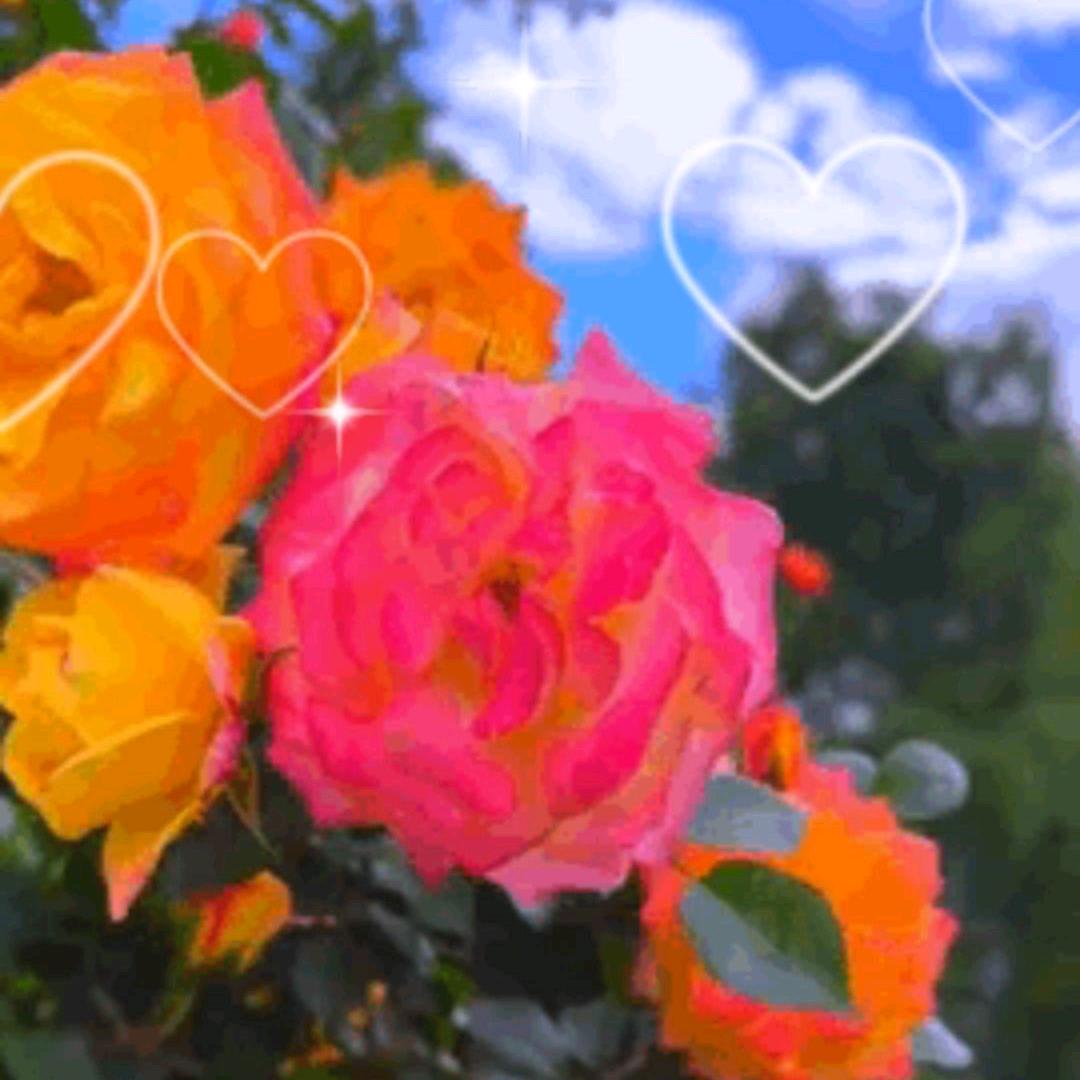 ღ᭄💞宝弟໑ຼ₀₂₄💕