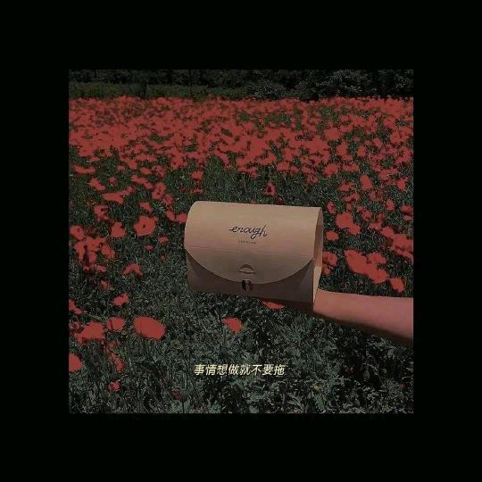 小良优选