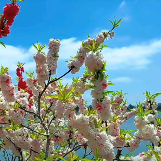 相逢是缘💐🌸