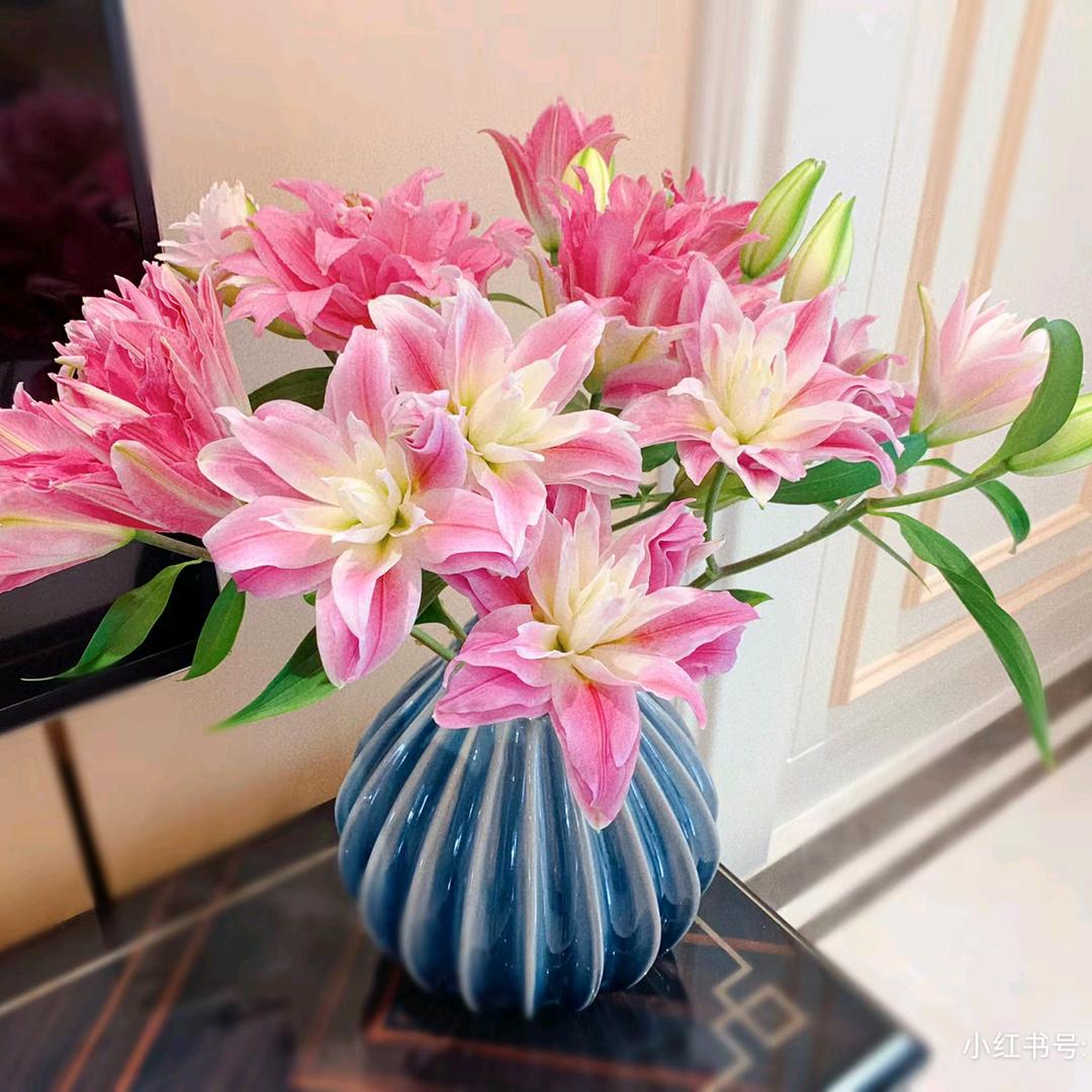 月光下的百合（请勿连赞）