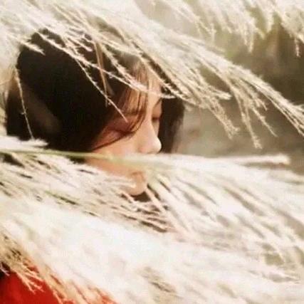 千年栗子