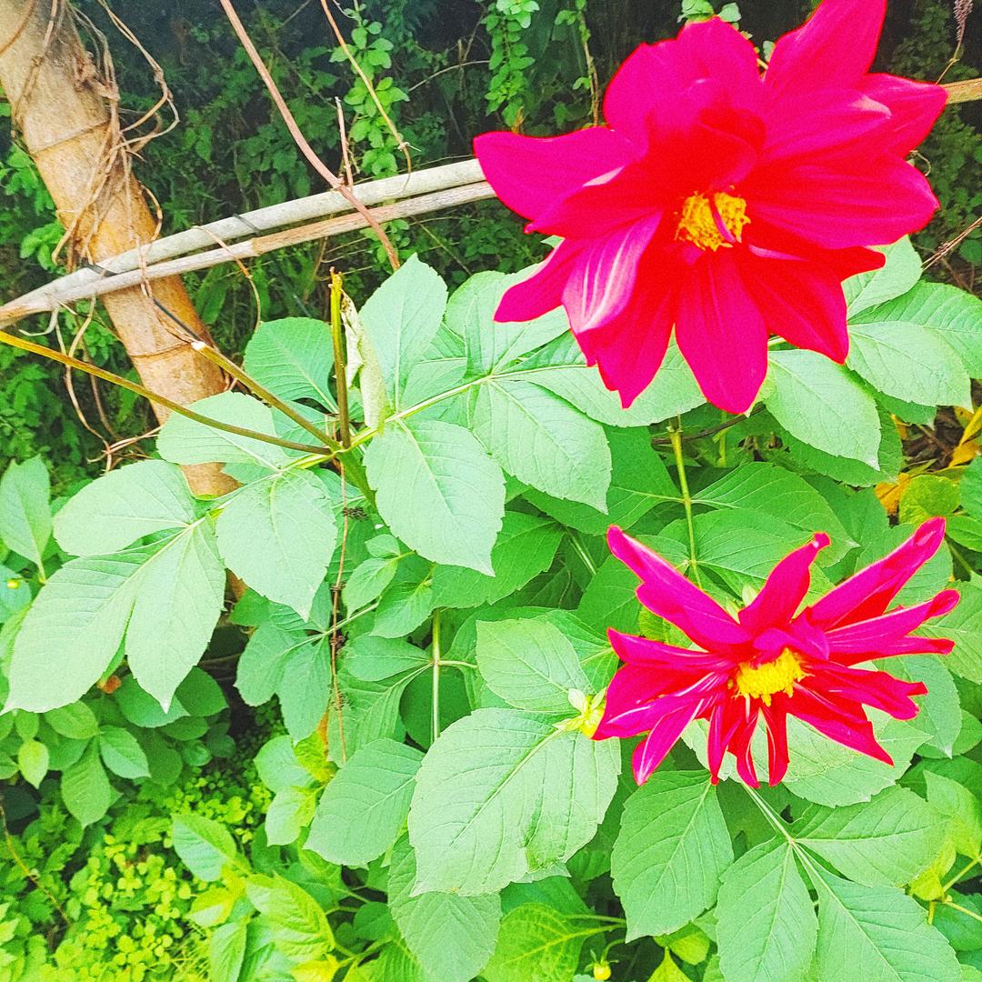 👫好好珍惜‘，家有五个宝贝