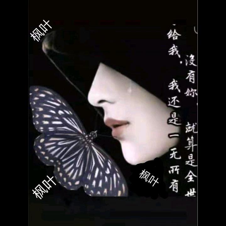 ༄༊࿆枫叶ృ࿐