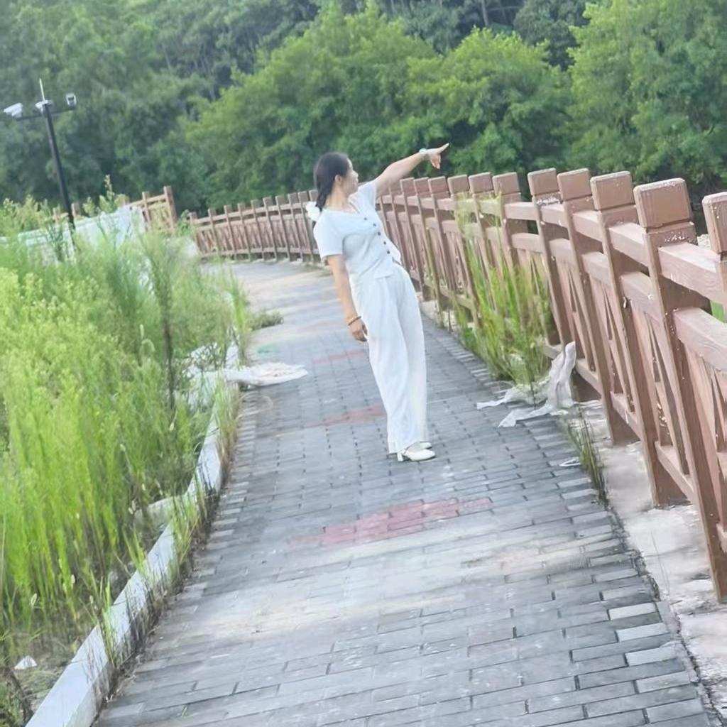 飞翔的企鹅