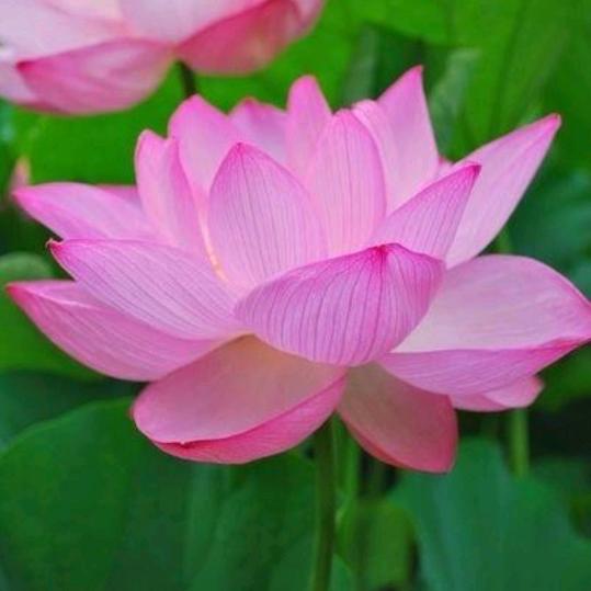 許💞东东💞💘