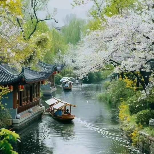 贵妃