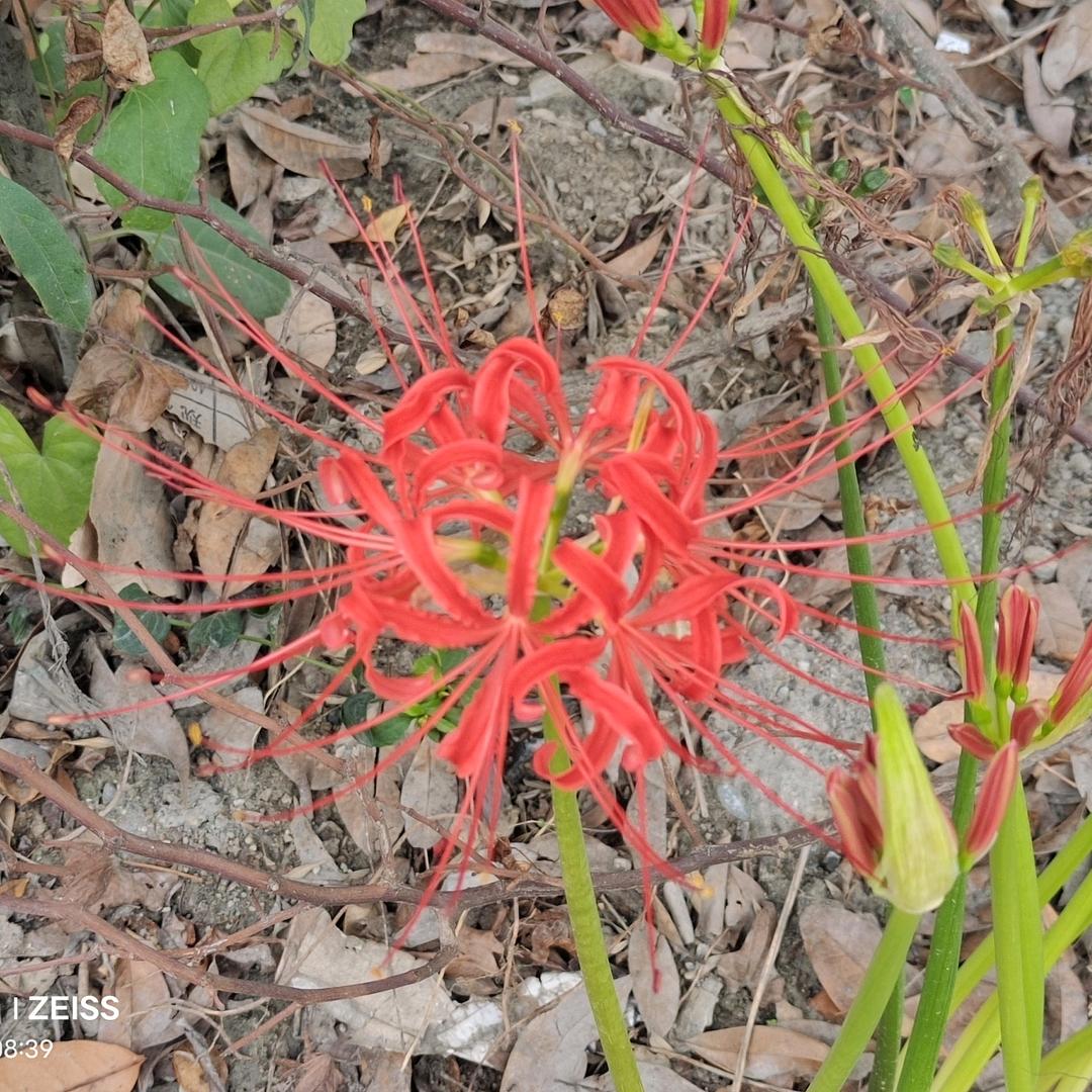 ༺ཉི།时间།ཉྀ༻