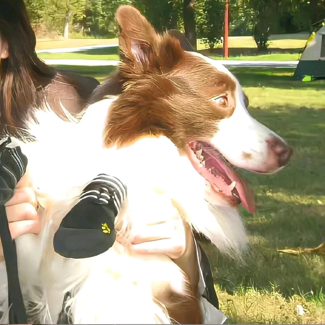 zxy说是我女朋友