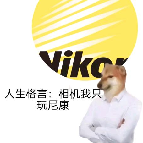 程程程