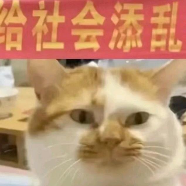 酱香饼饼_