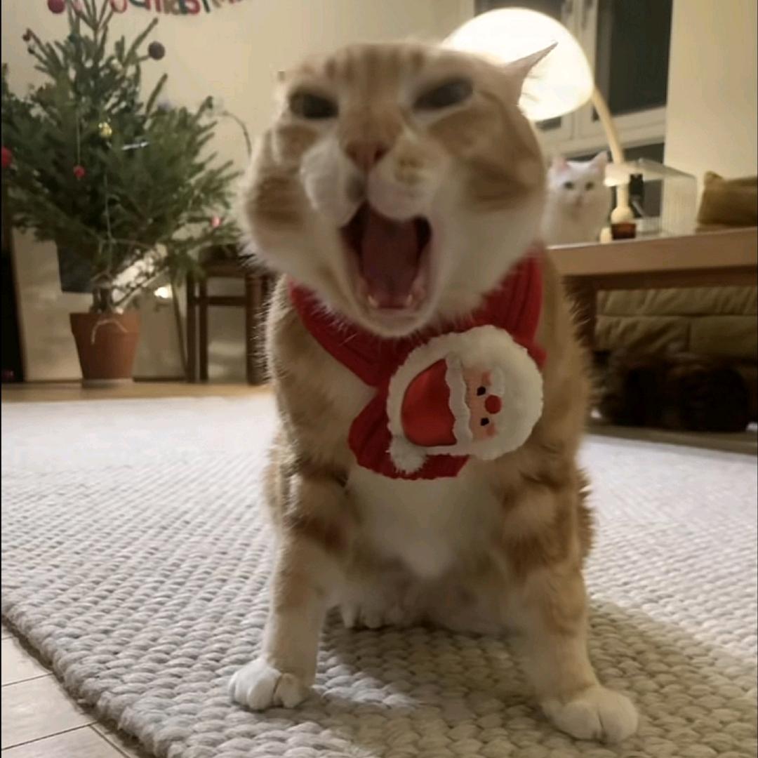 yiˣ