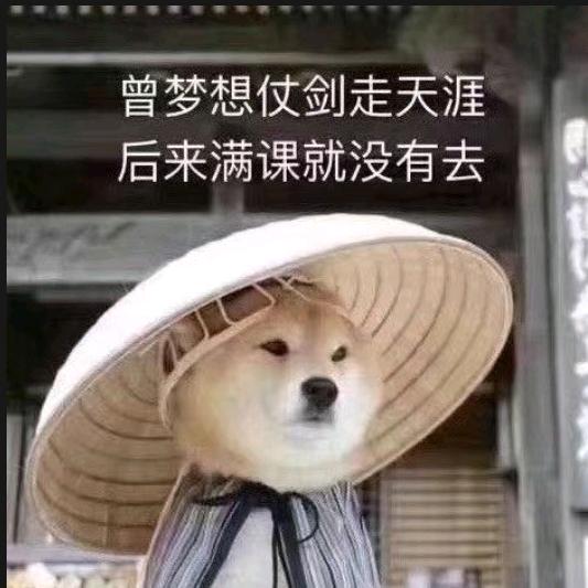 隐学