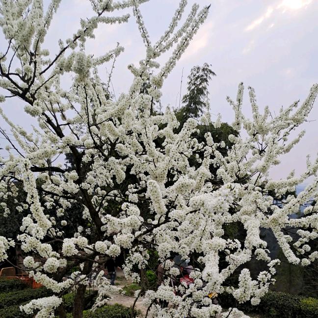 努力奋斗