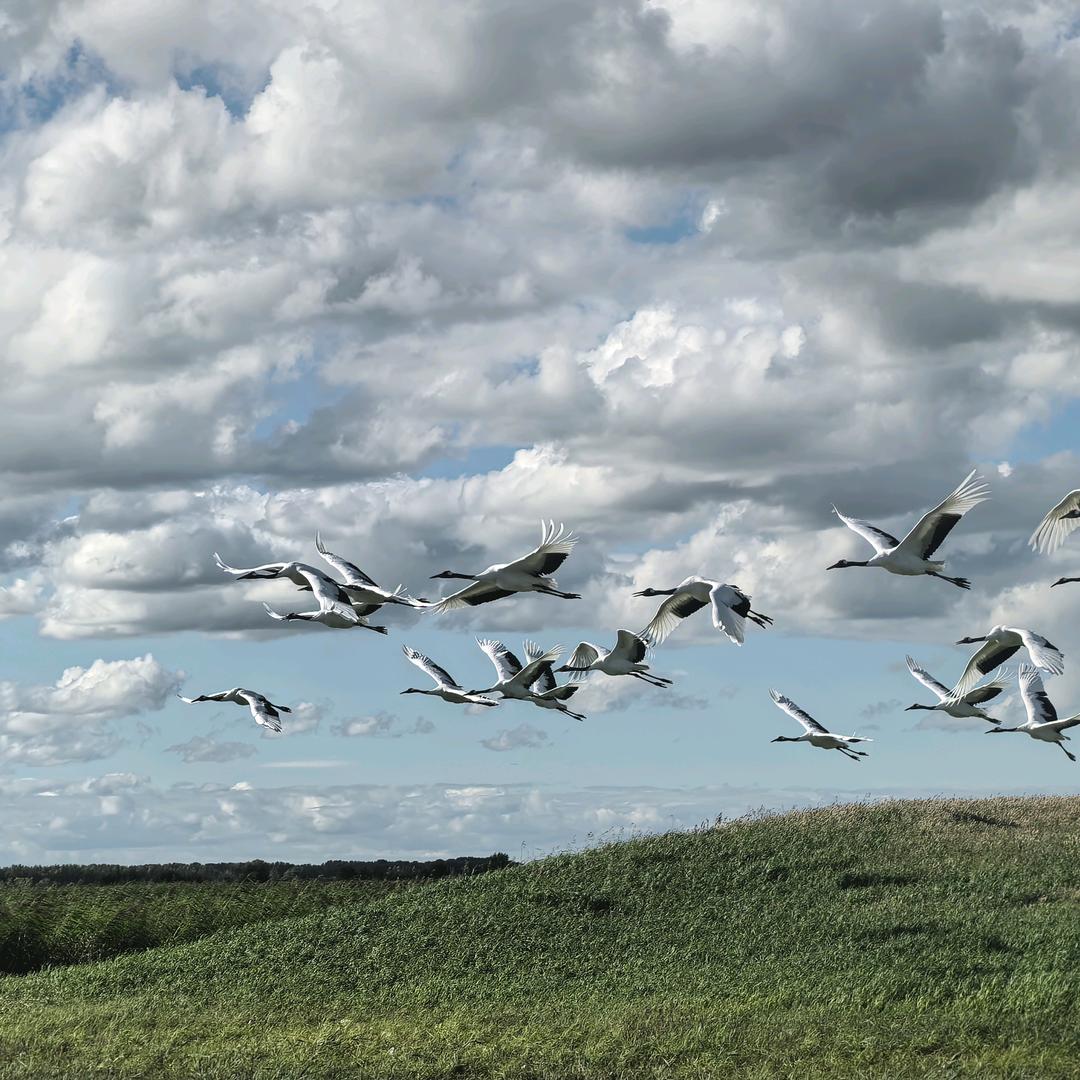 广饶县鸿信商贸